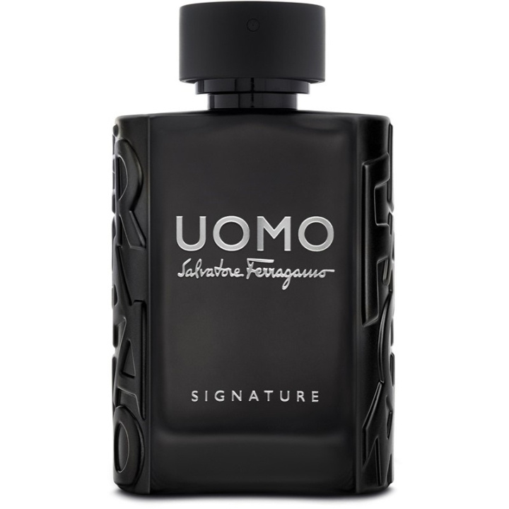 Salvatore Ferragamo Uomo Signature Edp 100ml ryhmässä KAUNEUS JA TERVEYS / Tuoksut & Parfyymit / Parfyymit / Miesten Tuoksut @ TP E-commerce Nordic AB (C62245)