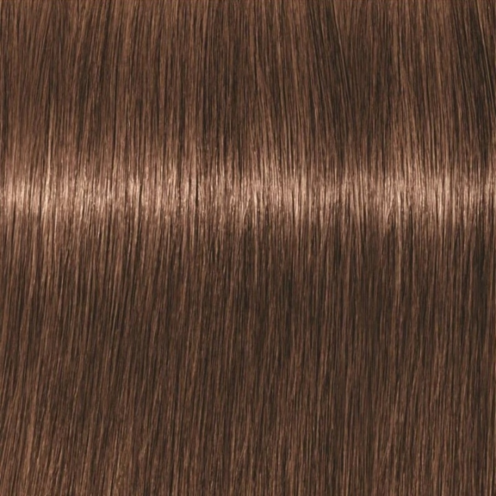 Schwarzkopf Professional Igora Vibrance Kit 6-6 Dark Blonde Chocolate ryhmässä KAUNEUS JA TERVEYS / Hiukset &Stailaus / Hiustenhoito / Hiusväri / Hiusväri & Väripommi @ TP E-commerce Nordic AB (C62326)