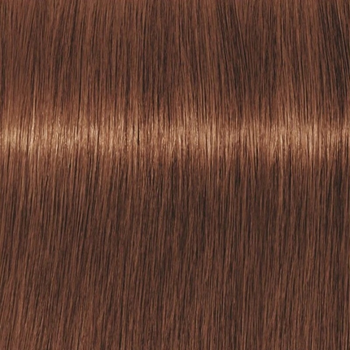 Schwarzkopf Professional Igora Vibrance Kit 5-67 Light Brown Chocolate Copper ryhmässä KAUNEUS JA TERVEYS / Hiukset &Stailaus / Hiustenhoito / Hiusväri / Hiusväri & Väripommi @ TP E-commerce Nordic AB (C62327)