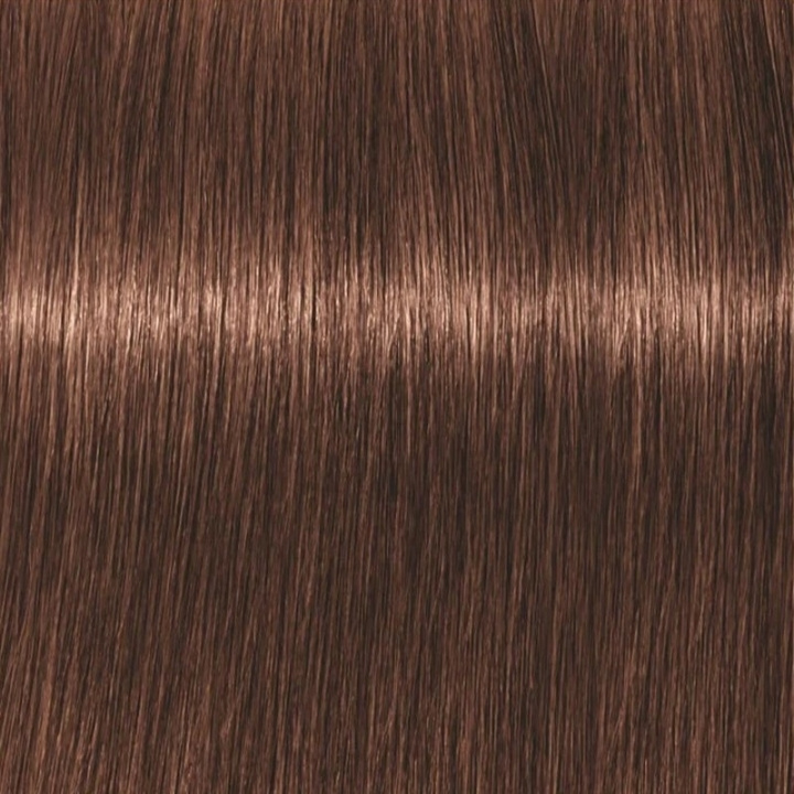 Schwarzkopf Professional Igora Vibrance Kit 6-68 Dark Blonde Chocolate Red ryhmässä KAUNEUS JA TERVEYS / Hiukset &Stailaus / Hiustenhoito / Hiusväri / Hiusväri & Väripommi @ TP E-commerce Nordic AB (C62328)