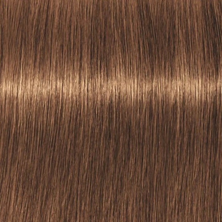 Schwarzkopf Professional Igora Vibrance Kit 7-55 Medium Blonde Gold Extra ryhmässä KAUNEUS JA TERVEYS / Hiukset &Stailaus / Hiustenhoito / Hiusväri / Hiusväri & Väripommi @ TP E-commerce Nordic AB (C62336)