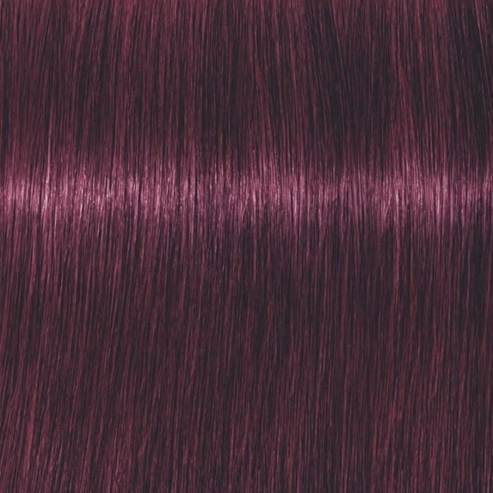 Schwarzkopf Professional Igora Vibrance Kit 6-99 Dark Blonde Violet Extra ryhmässä KAUNEUS JA TERVEYS / Hiukset &Stailaus / Hiustenhoito / Hiusväri / Hiusväri & Väripommi @ TP E-commerce Nordic AB (C62337)