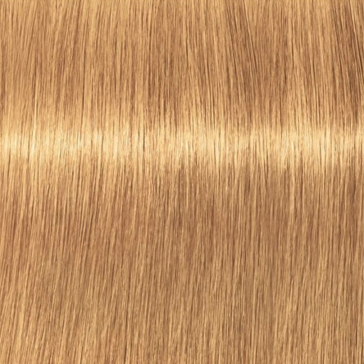 Schwarzkopf Professional Igora Vibrance Kit 9-55 Extra Light Blonde Gold Extra ryhmässä KAUNEUS JA TERVEYS / Hiukset &Stailaus / Hiustenhoito / Hiusväri / Hiusväri & Väripommi @ TP E-commerce Nordic AB (C62347)