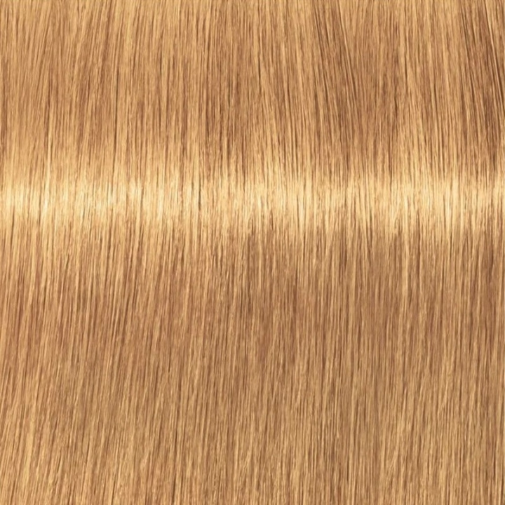 Schwarzkopf Professional Igora Vibrance Kit 9-55 Extra Light Blonde Gold Extra ryhmässä KAUNEUS JA TERVEYS / Hiukset &Stailaus / Hiustenhoito / Hiusväri / Hiusväri & Väripommi @ TP E-commerce Nordic AB (C62347)