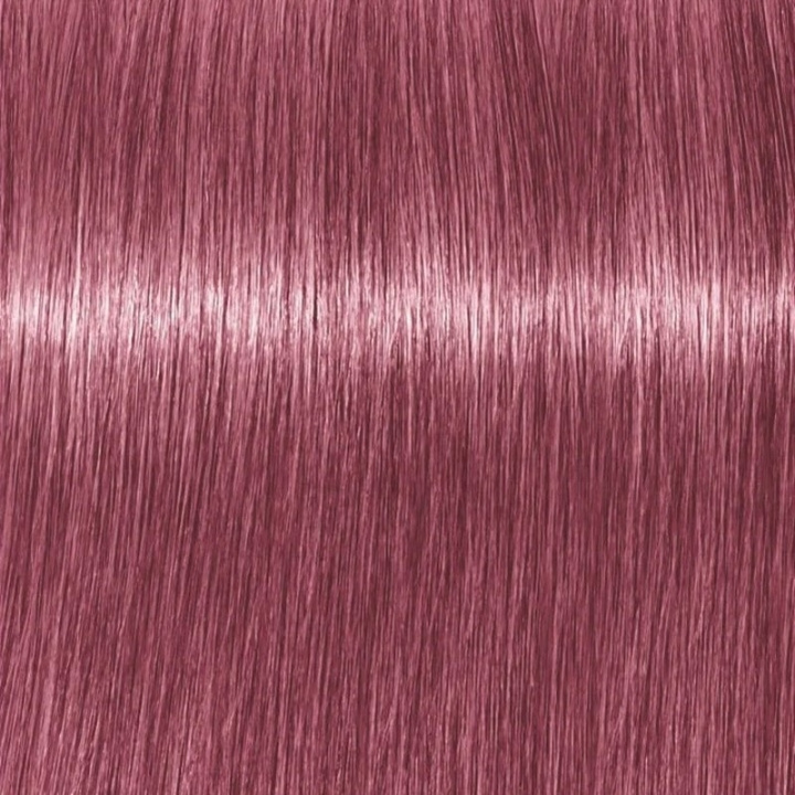 Schwarzkopf Professional Igora Vibrance Kit 9.5-98 Violet Red Toner ryhmässä KAUNEUS JA TERVEYS / Hiukset &Stailaus / Hiustenhoito / Hiusväri / Hiusväri & Väripommi @ TP E-commerce Nordic AB (C62363)