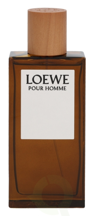 Loewe Pour Homme Edt Spray 100 ml ryhmässä KAUNEUS JA TERVEYS / Tuoksut & Parfyymit / Parfyymit / Miesten Tuoksut @ TP E-commerce Nordic AB (C72606)