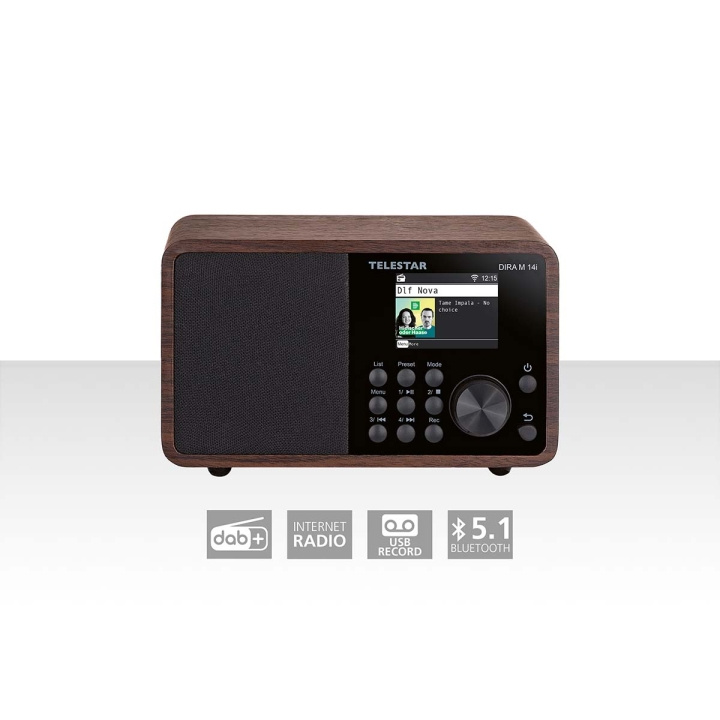 TELESTAR DIRA M 14i monitoimiradio puu ryhmässä KODINELEKTRONIIKKA / Ääni & Kuva / Kotiteatteri, HiFi ja kannettavat / Radio & Herätyskellot / Radio @ TP E-commerce Nordic AB (C78697)