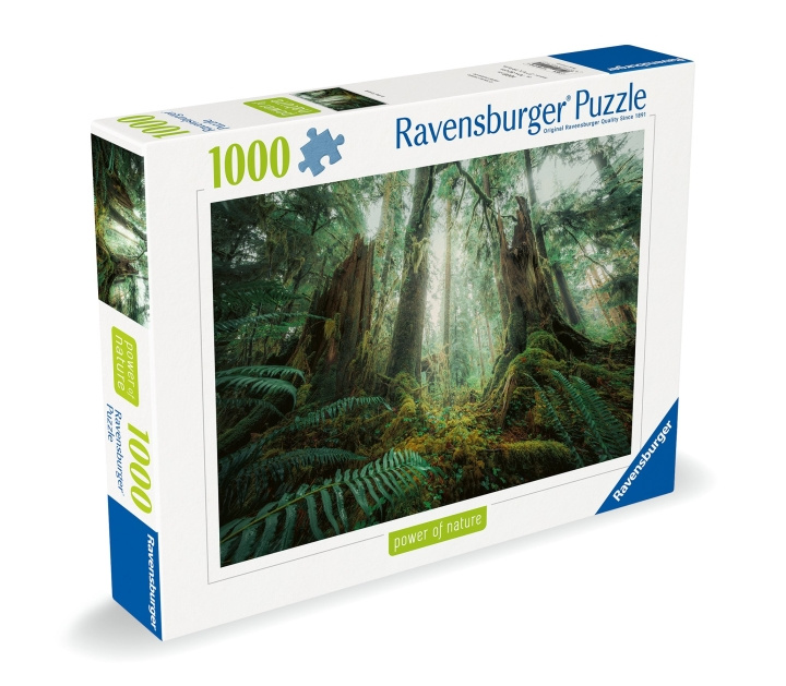 Ravensburger Puzzle Woods 1000p (12000292) ryhmässä URHEILU, VAPAA-AIKA JA HARRASTUS / Harrastus / Palapeli @ TP E-commerce Nordic AB (C86435)