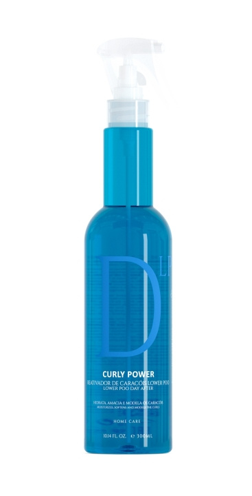 EVAN Curly Power Day After Curl Reactivator Lower Poo Spray 300 ml ryhmässä KAUNEUS JA TERVEYS / Hiukset &Stailaus / Hiusten stailaus / Muotoiluvaahto @ TP E-commerce Nordic AB (C96701)