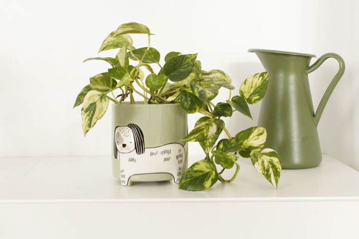 Winkee Kukkaruukku koira - Korkeus: 40 cm, halkaisija: 13 cm ryhmässä URHEILU, VAPAA-AIKA JA HARRASTUS / Hauskat tavarat / Älylaitteet @ TP E-commerce Nordic AB (C99140)