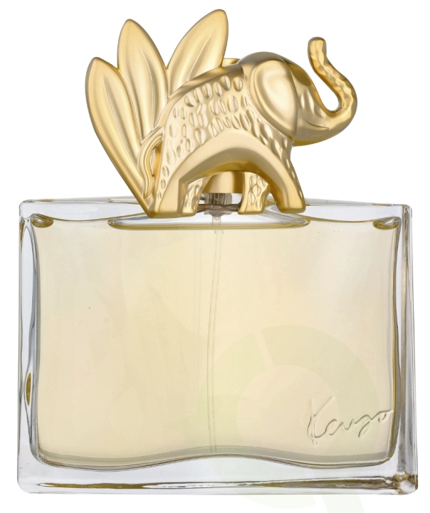 Kenzo Jungle Edp Spray 100 ml ryhmässä KAUNEUS JA TERVEYS / Tuoksut & Parfyymit / Parfyymit / Naisten Tuoksut @ TP E-commerce Nordic AB (D09481)