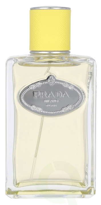 Prada Infusion D\'Ylang Edp Spray 100 ml ryhmässä KAUNEUS JA TERVEYS / Tuoksut & Parfyymit / Parfyymit / Naisten Tuoksut @ TP E-commerce Nordic AB (D09488)