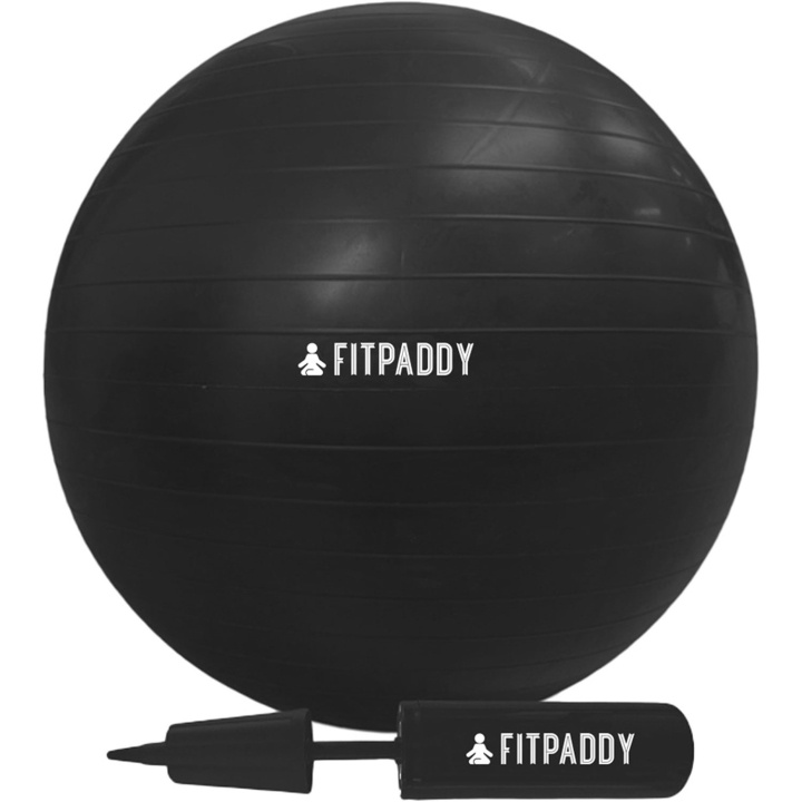 Fitpaddy Gym Ball 65 cm ryhmässä URHEILU, VAPAA-AIKA JA HARRASTUS / Kuntoilutarvikkeet / Muut @ TP E-commerce Nordic AB (D11517)