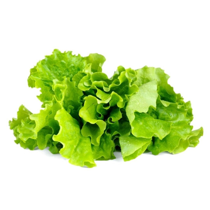 Click & Grow Smart Garden 3-pack - vihreä salaatti (SGR32X3) ryhmässä URHEILU, VAPAA-AIKA JA HARRASTUS / Hauskat tavarat / Älylaitteet @ TP E-commerce Nordic AB (D14397)