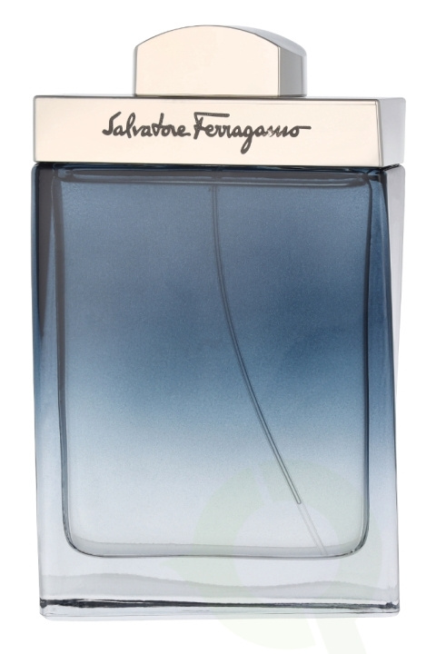 Ferragamo Subtil Pour Homme Edt Spray 100 ml ryhmässä KAUNEUS JA TERVEYS / Tuoksut & Parfyymit / Parfyymit / Miesten Tuoksut @ TP E-commerce Nordic AB (D14837)