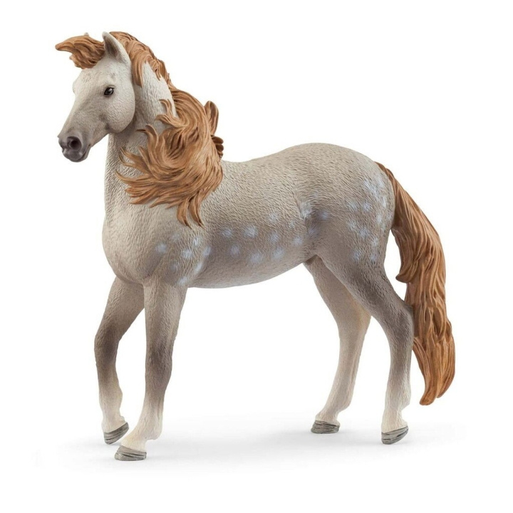 Schleich Andalusian ori - (14895) ryhmässä LELUT, TUOTTEET LAPSILLE JA VAUVOILLE / Leikkikalut, Askartelu &Pelit / Figuurit, miniatyyrit ja tarvikkeet @ TP E-commerce Nordic AB (D15330)