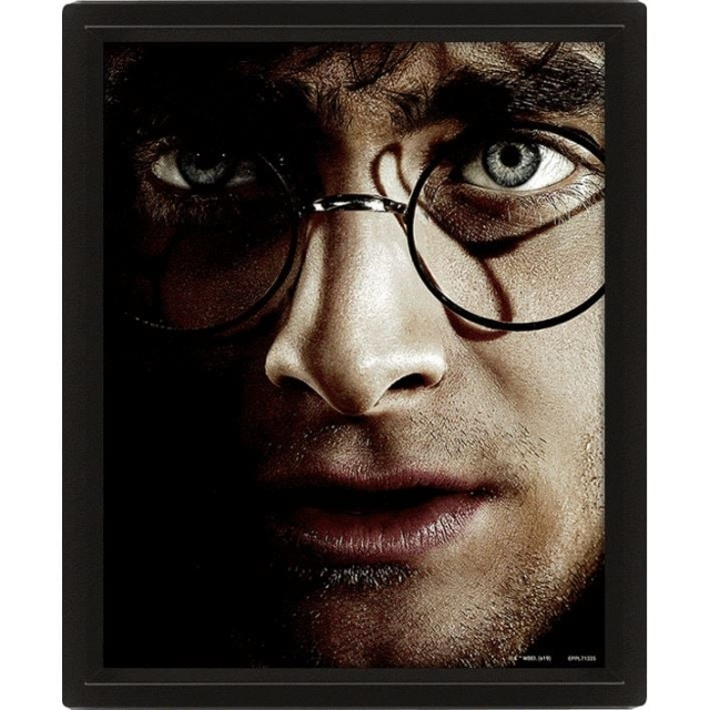 Pyramid International HARRY POTTER (HARRY VS VOLDEMORT) - KEHYSTETTY ryhmässä URHEILU, VAPAA-AIKA JA HARRASTUS / Hauskat tavarat / Keräilyesineet @ TP E-commerce Nordic AB (D15438)