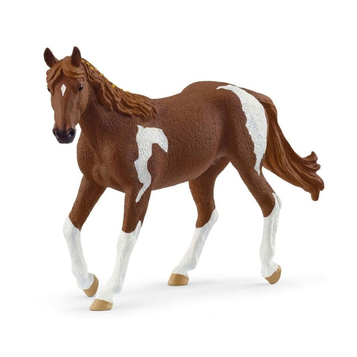 Schleich Paint Horse Tamma - (14901) ryhmässä LELUT, TUOTTEET LAPSILLE JA VAUVOILLE / Leikkikalut, Askartelu &Pelit / Figuurit, miniatyyrit ja tarvikkeet @ TP E-commerce Nordic AB (D15653)