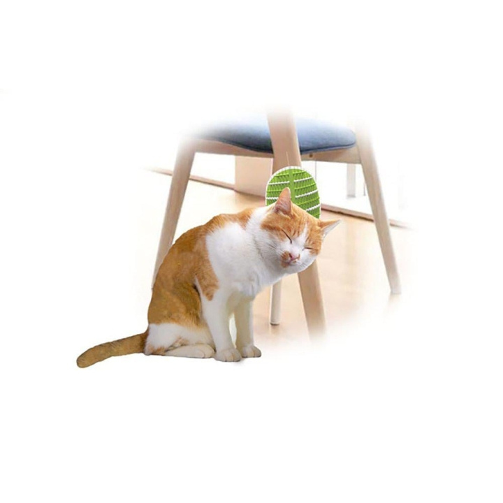 AFP All For Paws - Groomer 2 in 1 20.3X11X2,2Cm - (781.1025) ryhmässä KOTI, TALOUS JA PUUTARHA / Lemmikkitarvikkeet / Kissa @ TP E-commerce Nordic AB (D17139)
