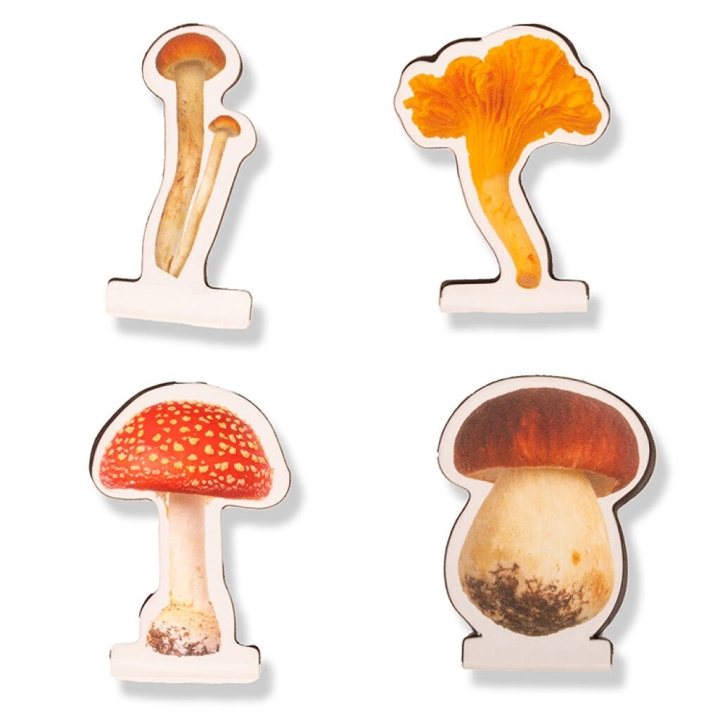 Kikkerland Sieni magneettiset kirjanmerkit - 2.75 cm x 3.5 cm x 0.25 cm ryhmässä URHEILU, VAPAA-AIKA JA HARRASTUS / Hauskat tavarat / Älylaitteet @ TP E-commerce Nordic AB (D17603)