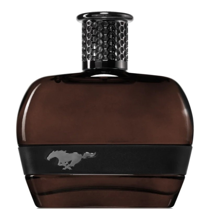 Ford Mustang Black For Men Edt 100ml ryhmässä KAUNEUS JA TERVEYS / Tuoksut & Parfyymit / Parfyymit / Miesten Tuoksut @ TP E-commerce Nordic AB (D18200)