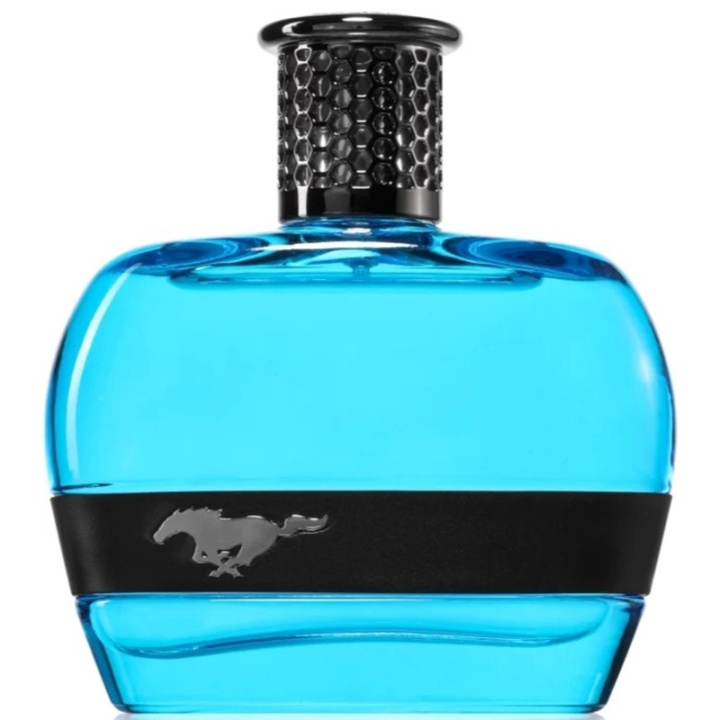 Ford Mustang Blue For Men Edt 100ml ryhmässä KAUNEUS JA TERVEYS / Tuoksut & Parfyymit / Parfyymit / Miesten Tuoksut @ TP E-commerce Nordic AB (D18202)