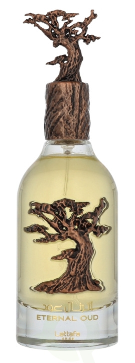 Lattafa Pride Eternal Oud Edp Spray 100 ml ryhmässä KAUNEUS JA TERVEYS / Tuoksut & Parfyymit / Parfyymit @ TP E-commerce Nordic AB (D19868)