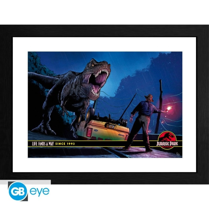 JURASSIC PARK - Kehystetty tuloste Alan Grant vs T-Rex (30x40) x2 ryhmässä URHEILU, VAPAA-AIKA JA HARRASTUS / Hauskat tavarat / Keräilyesineet @ TP E-commerce Nordic AB (D20277)