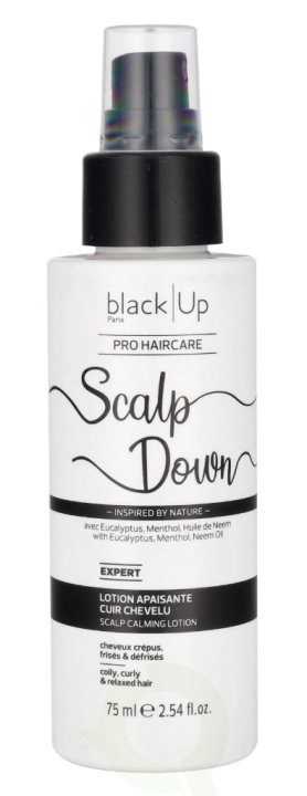 Black Up Scalp Down Calming Lotion 75 ml ryhmässä KAUNEUS JA TERVEYS / Hiukset &Stailaus / Hiustenhoito / Hiusnaamio @ TP E-commerce Nordic AB (D21136)