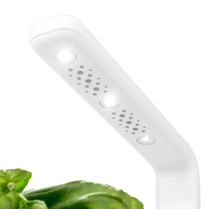 Click & Grow Varalamppu Smart Garden 3:een ryhmässä URHEILU, VAPAA-AIKA JA HARRASTUS / Hauskat tavarat / Älylaitteet @ TP E-commerce Nordic AB (D21522)