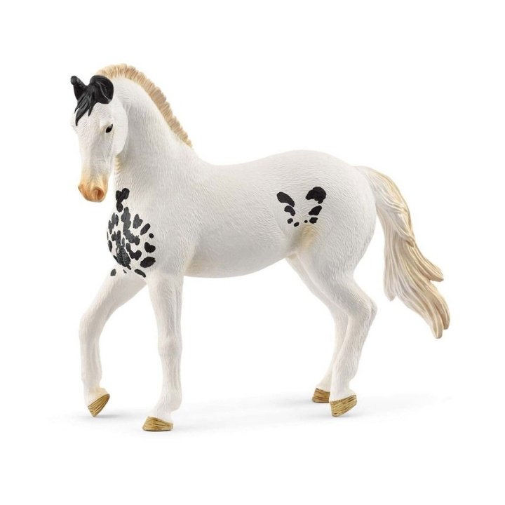 Schleich Marwari Stallion - (14898) ryhmässä LELUT, TUOTTEET LAPSILLE JA VAUVOILLE / Leikkikalut, Askartelu &Pelit / Figuurit, miniatyyrit ja tarvikkeet @ TP E-commerce Nordic AB (D21523)