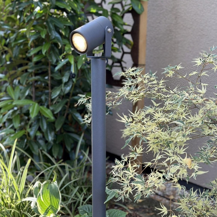 LightsOn Luna 65 Pollare/Trädgårdsspot 350 lm 5W 35° Grå ryhmässä KOTI, TALOUS JA PUUTARHA / Sähkö & Valaistus / Ulkovalaistus @ TP E-commerce Nordic AB (D21642)