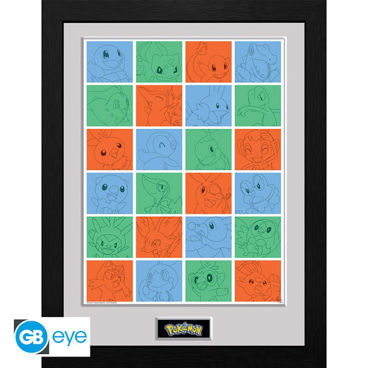 Abysse Kehystetty tuloste First Partner Grid - 30.5 x 40.6 cm ryhmässä URHEILU, VAPAA-AIKA JA HARRASTUS / Hauskat tavarat / Keräilyesineet @ TP E-commerce Nordic AB (D21976)