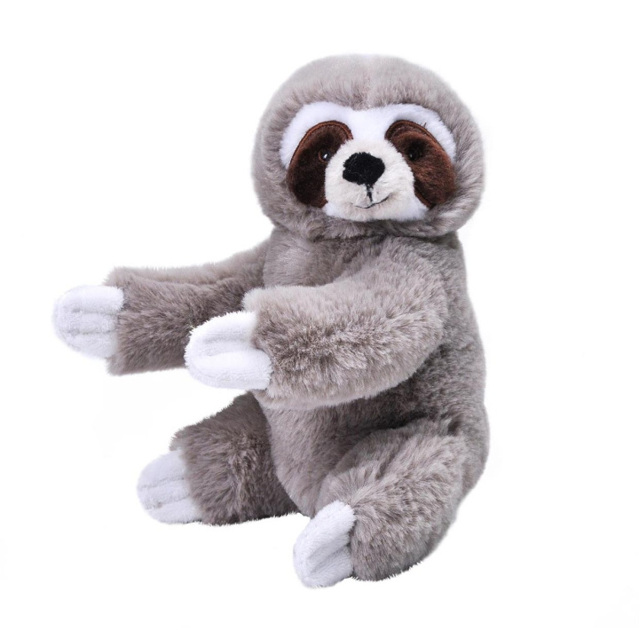 Wild Republic Pehmolelu Mini Ecokins 20 cm Laiskiaiset ryhmässä LELUT, TUOTTEET LAPSILLE JA VAUVOILLE / Lelut vauvoille (0-3v) / Pehmolelut @ TP E-commerce Nordic AB (D23160)