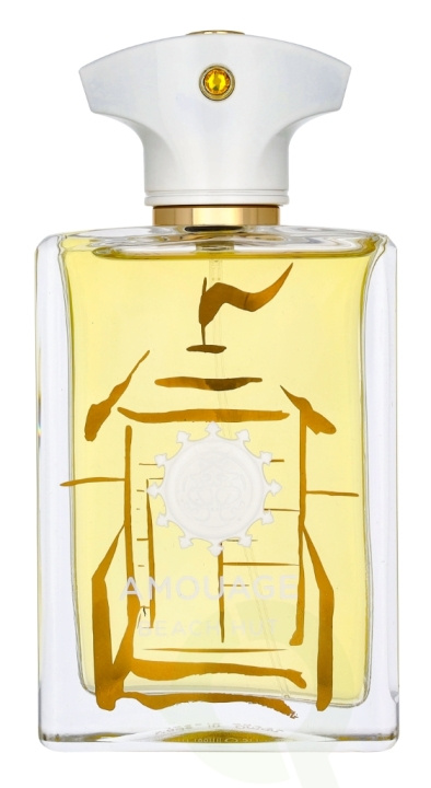 Amouage Beach Hut Man Edp Spray 100 ml ryhmässä KAUNEUS JA TERVEYS / Tuoksut & Parfyymit / Parfyymit / Miesten Tuoksut @ TP E-commerce Nordic AB (D23498)