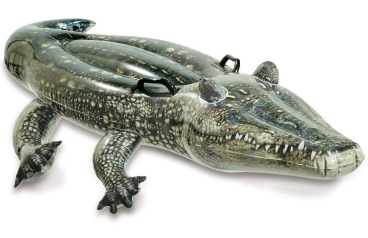 INTEX Realistic Gator Ride-On (657551) ryhmässä LELUT, TUOTTEET LAPSILLE JA VAUVOILLE / Ulkoleut / Kylpylelut @ TP E-commerce Nordic AB (D24520)
