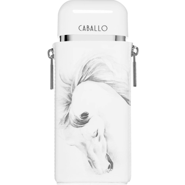 Armaf Caballo Men Edp 100ml ryhmässä KAUNEUS JA TERVEYS / Tuoksut & Parfyymit / Parfyymit / Miesten Tuoksut @ TP E-commerce Nordic AB (D25144)