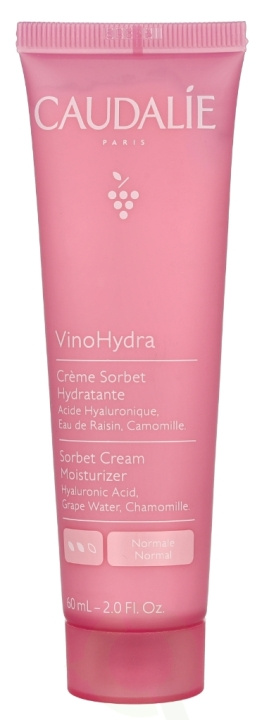 Caudalie Vinohydra Moisturizing Sorbet Cream 60 ml ryhmässä KAUNEUS JA TERVEYS / Ihonhoito / Kasvot / Päivävoide @ TP E-commerce Nordic AB (D25698)