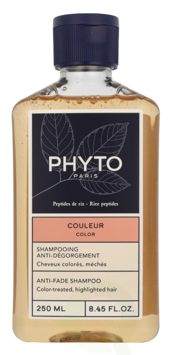 Phyto Phytocolor Anti Disgorgement Shampoo 250 ml ryhmässä KAUNEUS JA TERVEYS / Hiukset &Stailaus / Hiustenhoito / Shampoo @ TP E-commerce Nordic AB (D28097)