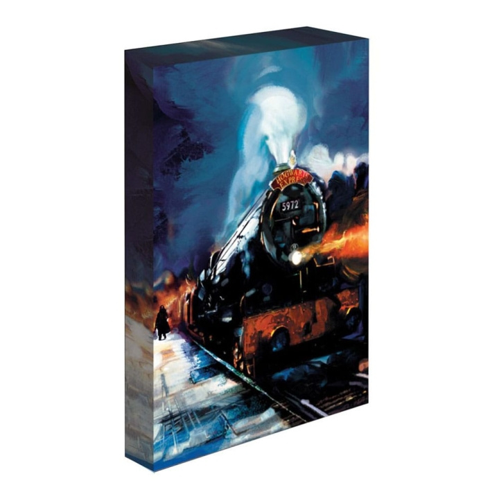 Pyramid International Valaiseva kangas Harry Potter (Tylypahkan pikajuna) 30x40 ryhmässä URHEILU, VAPAA-AIKA JA HARRASTUS / Hauskat tavarat / Keräilyesineet @ TP E-commerce Nordic AB (D28378)