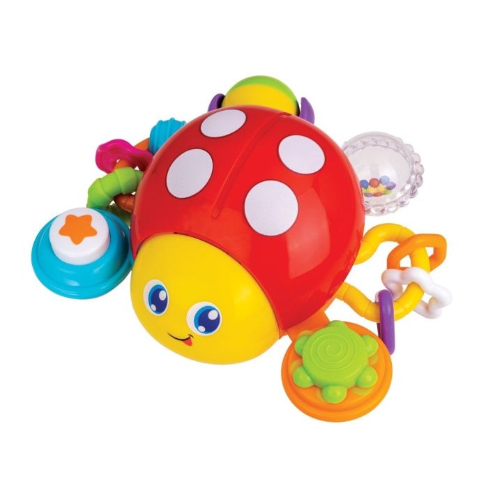 WINFUN Press \'N Go Activity Ladybug (000720) ryhmässä LELUT, TUOTTEET LAPSILLE JA VAUVOILLE / Lelut vauvoille (0-3v) / Toiminnalliset lelut @ TP E-commerce Nordic AB (D30024)
