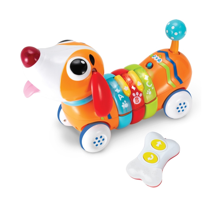 WINFUN Sateenkaaripentu (1142-NL) ryhmässä LELUT, TUOTTEET LAPSILLE JA VAUVOILLE / Radio-ohjattava / Muut @ TP E-commerce Nordic AB (D30031)