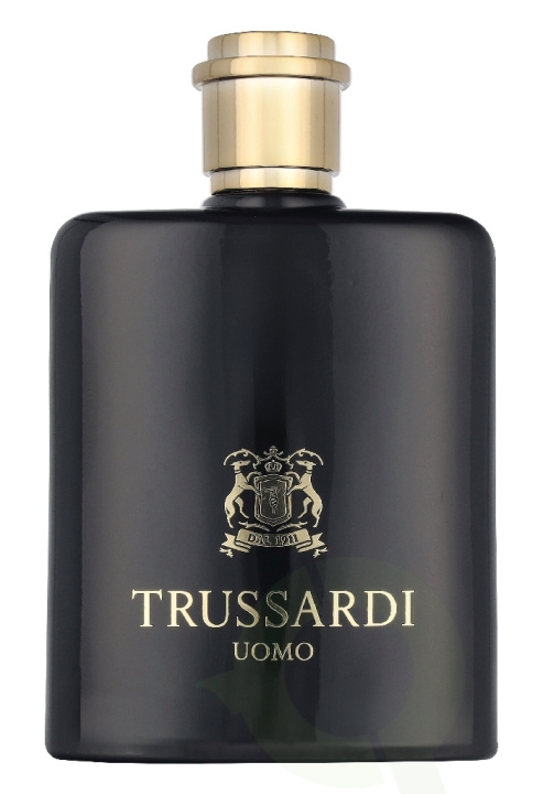 Trussardi Uomo 2011 Edt Spray 100 ml ryhmässä KAUNEUS JA TERVEYS / Tuoksut & Parfyymit / Parfyymit @ TP E-commerce Nordic AB (D33162)