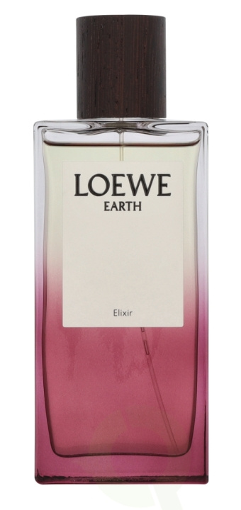 Loewe Earth Elixir Edp Spray 100 ml ryhmässä KAUNEUS JA TERVEYS / Tuoksut & Parfyymit / Parfyymit @ TP E-commerce Nordic AB (D34038)
