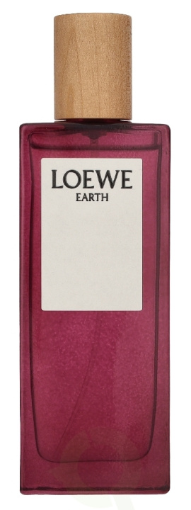 Loewe Earth Edp Spray 50 ml ryhmässä KAUNEUS JA TERVEYS / Tuoksut & Parfyymit / Parfyymit @ TP E-commerce Nordic AB (D34049)