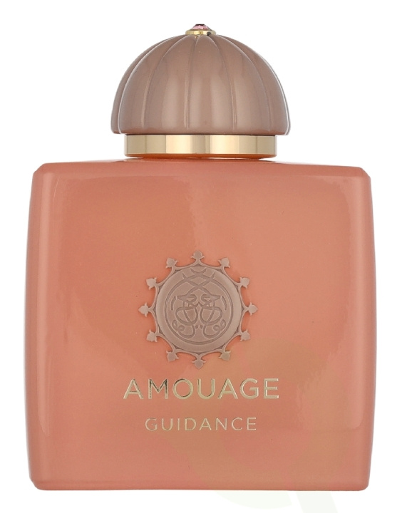 Amouage Guidance Edp Spray 100 ml ryhmässä KAUNEUS JA TERVEYS / Tuoksut & Parfyymit / Parfyymit / Naisten Tuoksut @ TP E-commerce Nordic AB (D35461)