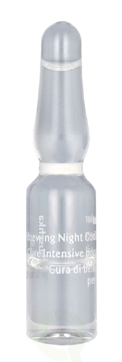 Dr. Hauschka Renewing Night Conditioner 50 ml 50x1 ryhmässä KAUNEUS JA TERVEYS / Ihonhoito / Kasvot / Seerumit iholle @ TP E-commerce Nordic AB (D35937)