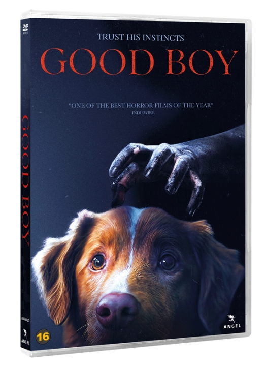 GOOD BOY (DVD) ryhmässä KODINELEKTRONIIKKA / Ääni & Kuva / TV & Tarvikkeet / Elokuvat / DVD @ TP E-commerce Nordic AB (D38107)