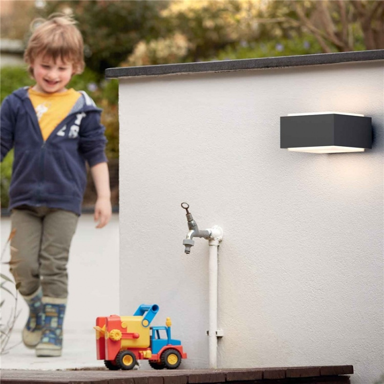 Philips Hedgehog Vägglampa Antraci Philips Hedgehog Vägglampa Antraci