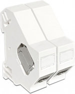 DeLOCK Keystone modulhållare för montering på DIN-skena, vit